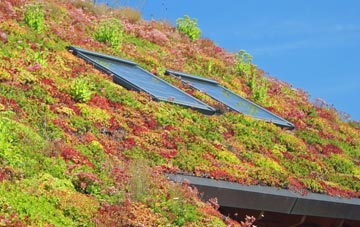 Llanrhyddlad living roof systems