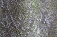 Llanrhyddlad fibreglass roof work